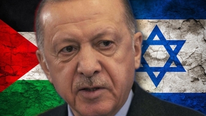 NATO member declares national mourning for Hamas leader, blocks military alliance's cooperation with Israel