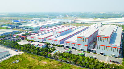 Hành trình 25 năm Tôn Đông Á ‘cùng xây cuộc sống xanh’