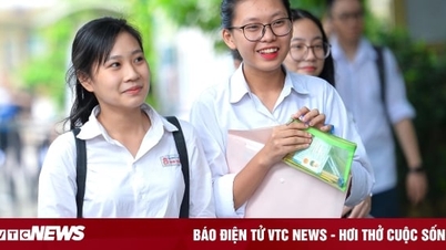 Top những ngành học có mức lương cao nhất hiện nay