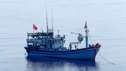 Chuyển đổi 6.000 tàu cá ven bờ sang nghề cá giải trí, nuôi trồng thủy sản