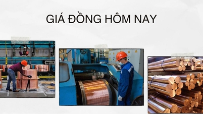កើន​ឡើង​ដោយ​សារ​ប្រាក់​ដុល្លារ​ធ្លាក់​ចុះ