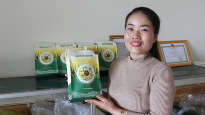 ស្ត្រីជនជាតិថៃម្នាក់បានបាត់បង់អង្ករមួយតោនដើម្បីធ្វើគុយទាវឆ្ងាញ់ដែលអាចបរិភោគបានពេញមួយឆ្នាំ។
