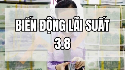 ធនាគារជាបន្តបន្ទាប់បានកើនឡើងអត្រាការប្រាក់ភ្លាមៗ