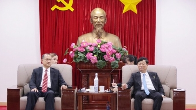 Tập đoàn Sunwah tìm cơ hội đầu tư tại Bình Dương