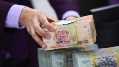 Hội thảo “Thuế và nền tài chính lành mạnh cho sự phát triển bền vững”