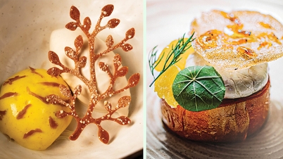 Vietnamese chef conquers Michelin with modern Vietnamese cuisine