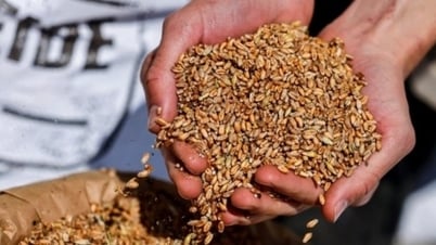 New obstacle to Russia-Ukraine grain deal