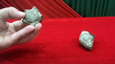Quang Nam hands over two national treasures to Da Nang