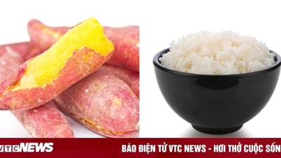 体重を減らすには、米の代わりにサツマイモを食べるべきでしょうか？