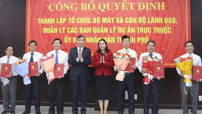 ទីក្រុង Da Nang រួមបញ្ចូលគ្នា និងបង្កើតក្រុមប្រឹក្សាគ្រប់គ្រងគម្រោងថ្មីចំនួន 3 នៅក្រោមទីក្រុង