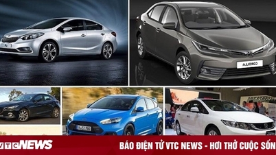 Taxi Vip ổn định vị thế, vượt qua biến động thị trường