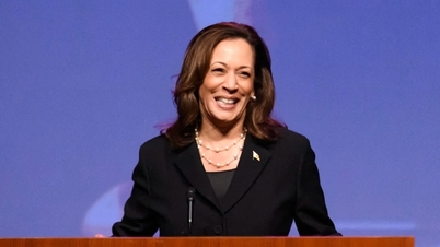 Kamala Harris has enough votes to be the Democratic Party's nominee