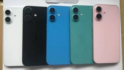 Hé lộ hình ảnh iPhone 16 trước thềm ra mắt