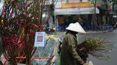Thời của thanh toán qua mã QR từ vùng sâu, vùng xa đến xuyên biên giới