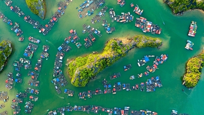 តើ Ha Long - Cat Ba នឹង​ទទួល​បាន​អ្វី​បន្ទាប់​ពី​ការ​ទទួល​ស្គាល់​ដោយ UNESCO?
