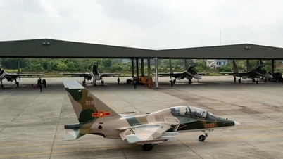 Searching for 2 pilots in the Yak-130 plane crash in Binh Dinh