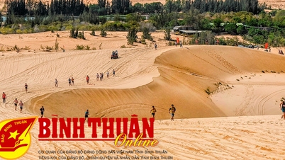 Những đồi cát trắng ôm bờ biển xanh