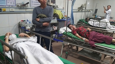 bất ngờ về nguyên nhân gây ngộ độc khiến 84 công nhân nhập viện