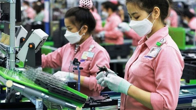Công nghiệp bán dẫn được xem là 'mạch máu' của nền kinh tế hiện đại