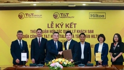 Hilton to manage T&T hotel chain in Mekong Delta