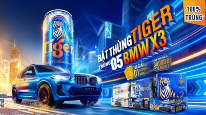 Tiger tiếp đà bứt phá cho người tiêu dùng với ‘Bật thùng Tiger, trúng 5 BMW X3’