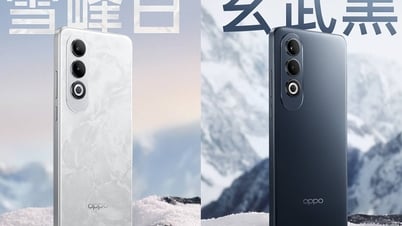 OPPO K12 Plus가 공개되었습니다.