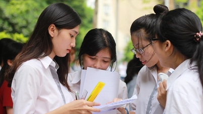 Lâm Đồng công bố đường dây nóng kỳ thi tốt nghiệp THPT năm 2024