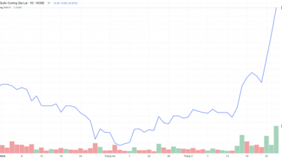 Quoc Cuong Gia Lai shares increased by one and a half times compared to the bottom at the beginning of the year.