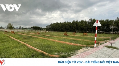 ហាណូយបង្កើនផ្ទៃដីអប្បបរមាសម្រាប់ផ្នែករងដល់ 50 ម 2