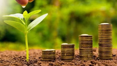 Companies finalize dividend payments, week from August 5 to 9
