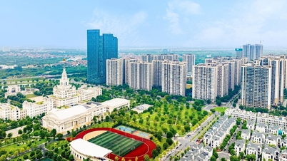 Chất sống tinh hoa tại 2 tòa căn hộ Sapphire cuối cùng của Vinhomes Ocean Park