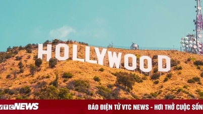 What is Hollywood?