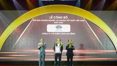 កំពង់ផែ Danang ស្ថិតក្នុងលំដាប់កំពូល 500 សហគ្រាសដែលរកចំណូលបានច្រើនបំផុតនៅវៀតណាមក្នុងរយៈពេល 8 ឆ្នាំជាប់ៗគ្នា។
