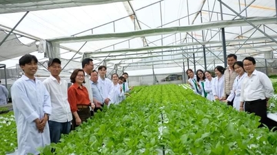 Tập trung khai thác “mỏ vàng” nông nghiệp