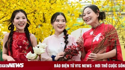 Ngành Giáo dục TP.HCM thưởng Tết cao nhất hơn 100 triệu đồng