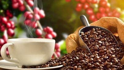 Lượng tồn kho giảm kéo giá cà phê xuất khẩu trở lại đà tăng cao nhất