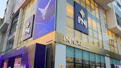 តម្លៃ​ភាគហ៊ុន PNJ ឡើង​ដល់​កម្រិត​ខ្ពស់​លើស​កម្រិត​ប្រវត្តិសាស្ត្រ