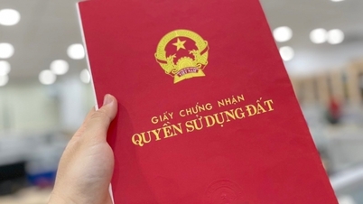 Thời gian chờ đợi cấp 'sổ đỏ' tại Hà Nội giảm còn 14 ngày