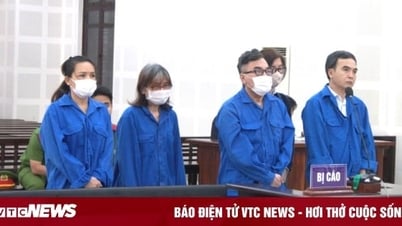 Cựu Tổng Giám đốc Công ty nhà Đà Nẵng được giảm án