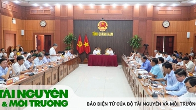 ផ្តោតលើការលុបបំបាត់ការលំបាកសម្រាប់អាជីវកម្ម