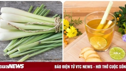 Uống nước sả mỗi ngày có tốt cho sức khoẻ?