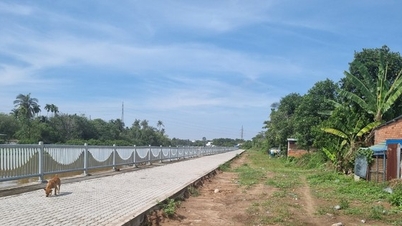 ការ​បញ្ចេញ​ទុន​វិនិយោគ​សាធារណៈ​ក្នុង​គម្រោង​សំខាន់ៗ​ក្នុង​ត្រីមាស​ទី​មួយ​ក្នុង​ទីក្រុង Dong Nai