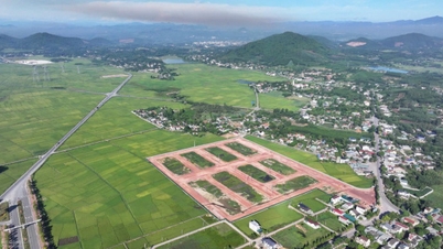 Nghe An regulations on compensation and resettlement support when the state acquires land