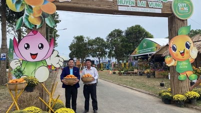 ស្រុក Lap Vo និង Lai Vung ត្រូវ​បាន​គេ​ទទួល​ស្គាល់​ថា​មាន​ស្តង់ដារ​ជនបទ​ថ្មី។