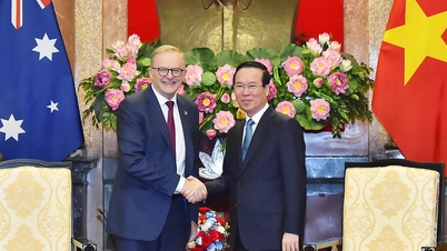 Chủ tịch nước Võ Văn Thưởng tiếp Thủ tướng Australia Anthony Albanese