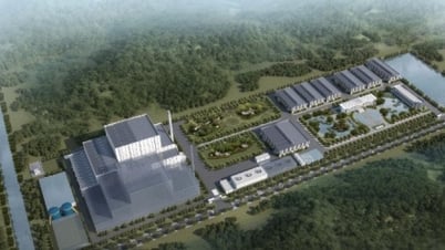 ក្នុងត្រីមាសទីមួយនៃឆ្នាំ 2024 Bamboo Capital (BCG) សម្រេចបានប្រាក់ចំណូលចំនួន 985 ពាន់លានដុង។
