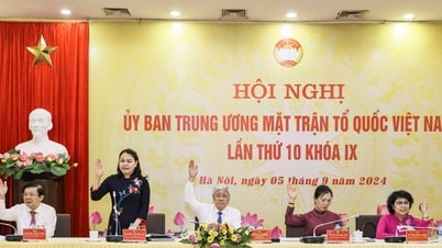 베트남 전직 인민경찰협회와 베트남 공증인협회는 베트남 조국전선의 회원입니다.