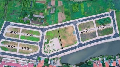 ដីចំនួន 32 ចុងក្រោយនៅតំបន់ Long Khuc ស្រុក Hoai Duc ជិតនឹងត្រូវដាក់ដេញថ្លៃ។