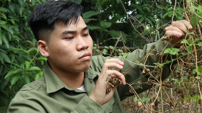 Mẹ đơn thân đau ốm nợ nần, con trai đậu Trường đại học Bách khoa Hà Nội