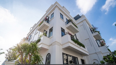 Solasta Mansion – Mạch nguồn thịnh vượng